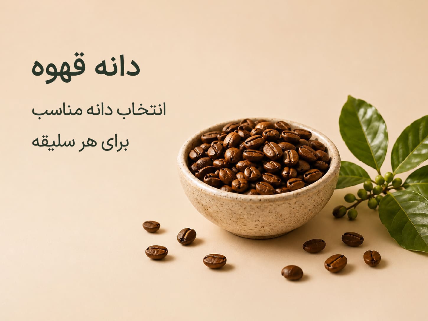 دانه قهوه