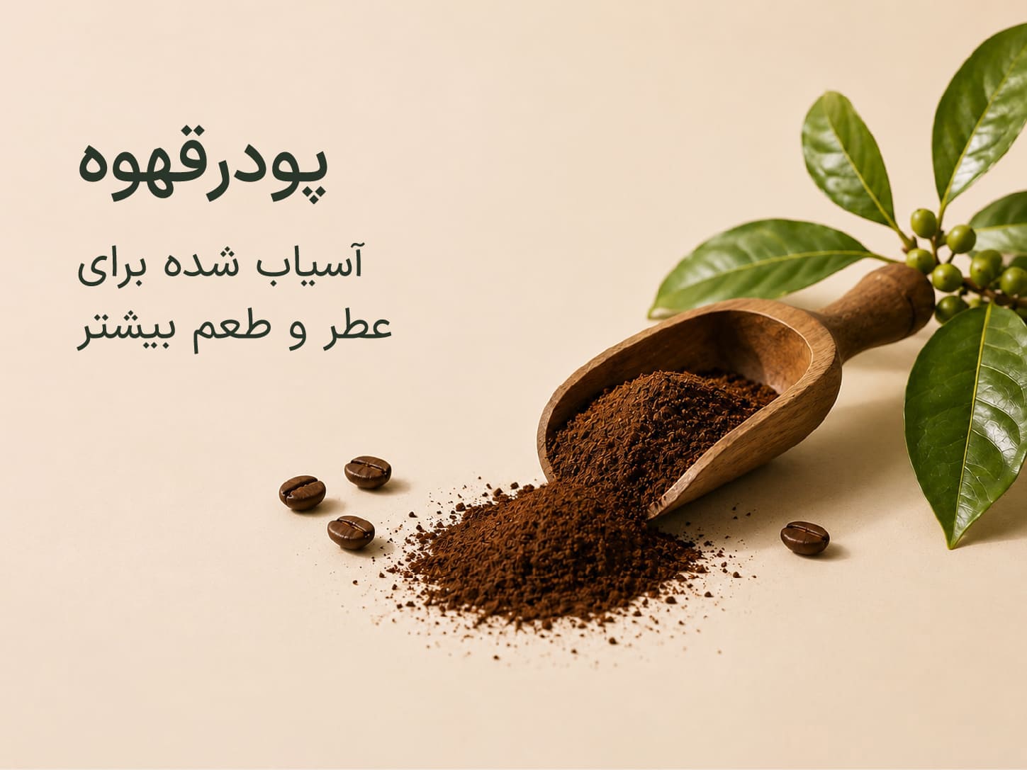 پودر قهوه