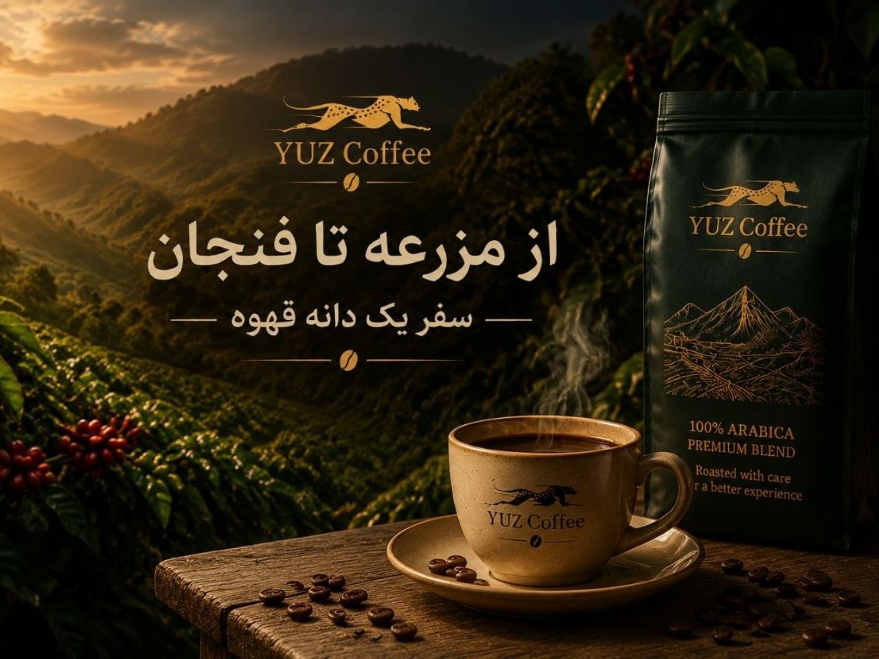 از مزرعه تا فنجان؛ سفر یک دانه قهوه